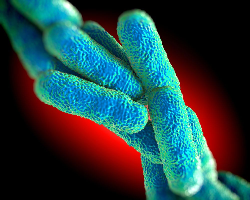 How Does Legionnaires' Disease Develop? Water Hygiene Services